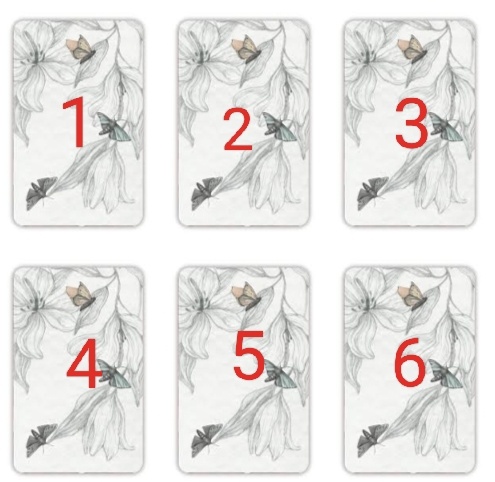 Выбирайте номер карты.