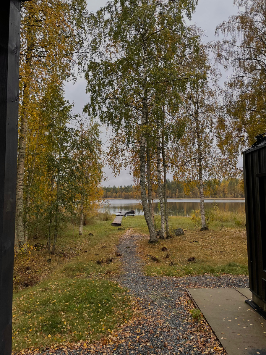 Домики на финской границе