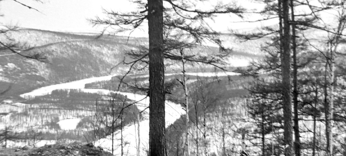 Просторы Бама.