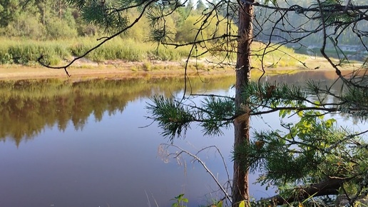 Река Лух Фролищи Нижегородская обл.