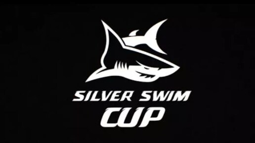 Silver Swim CUP Соревнования по плаванию для взрослых на 1000м. Плавание кролем