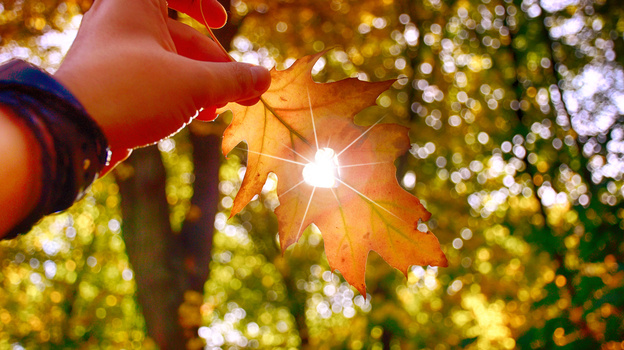    puflic_senior/istockphoto.com