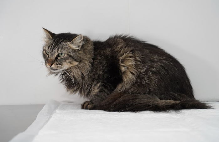 Она безумно красива❤️