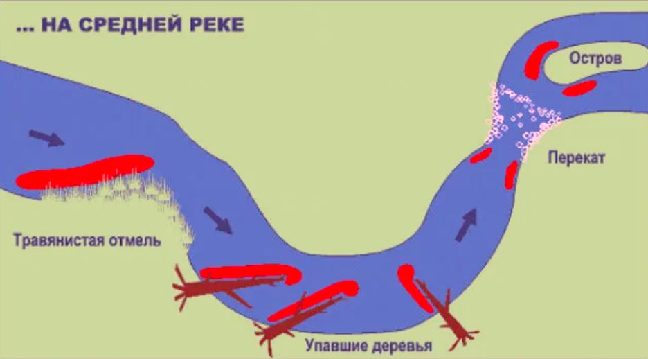 В каких местах чаще всего. В каких местах чаще всего