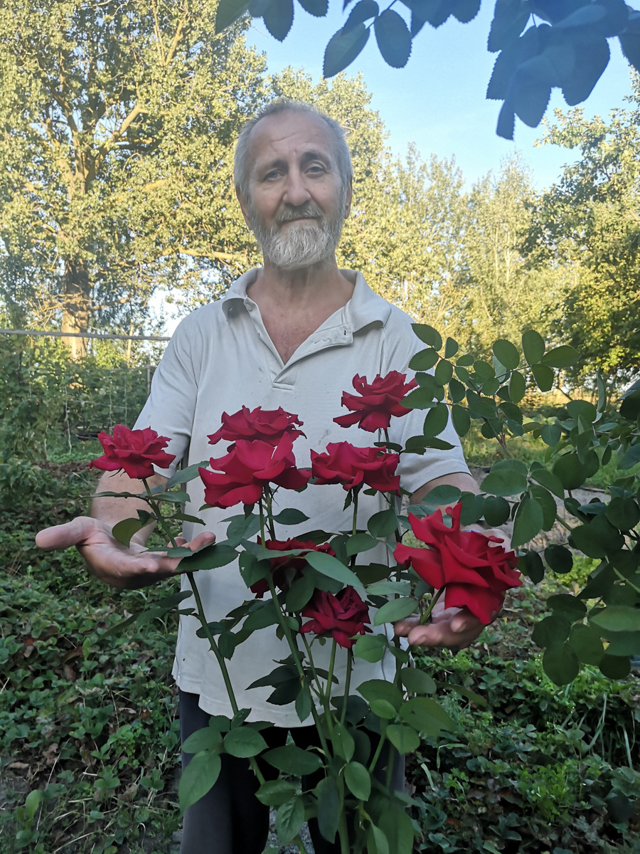  Дарю читателям розы