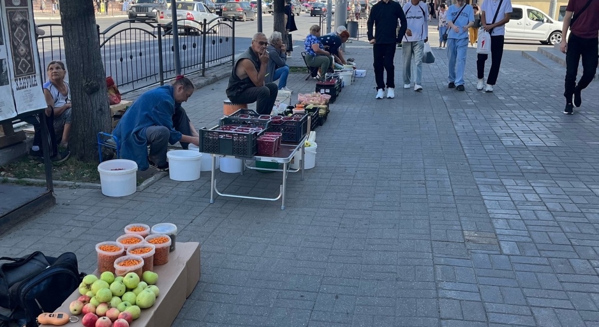    Калужанин пожаловался городскому голове Калуги на уличных торговцев. Елена Французова
