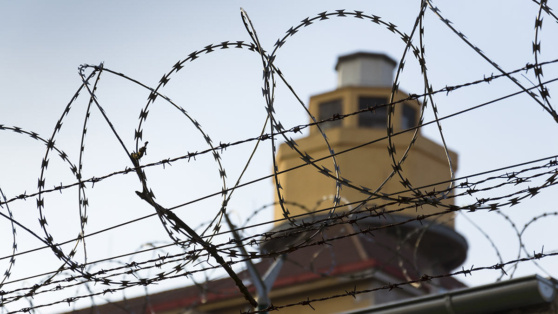    Глава Минюста назвал причины бунтов в тюрьмах Алина Городниченко