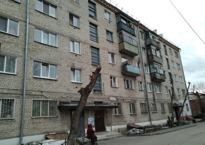 На чердаке этого дома специалисты могут изучать голубиные скелеты 50 лет. Материала для этого предостаточно