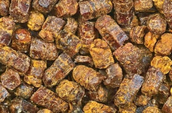 Так выглядит перга, вынутая из сот.