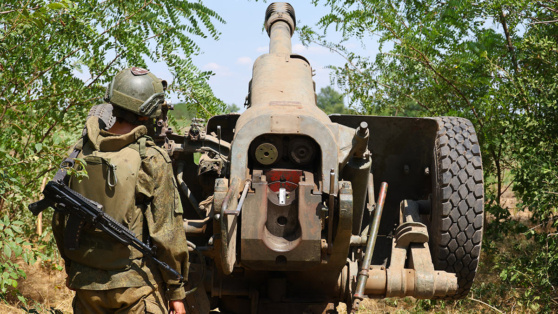    Российские войска нанесли поражение ВСУ у 17 населенных пунктов в Курской области Алина Городниченко