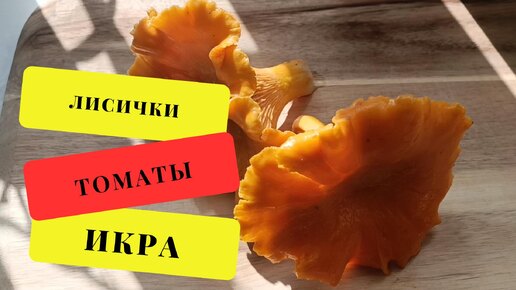 Грибная икра из лисичек. ТРИ способа. Проверяем рецепты