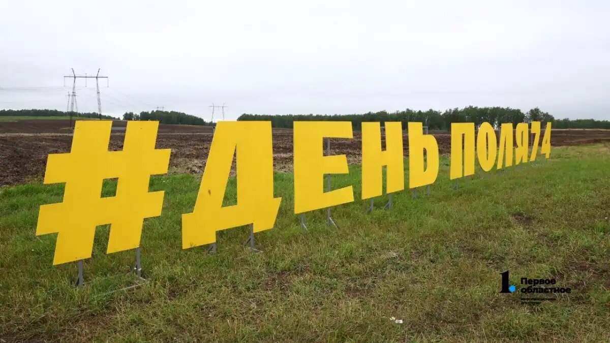 Фото: media-1obl-ru / информагентство Первое областное День поля 2024 в Челябинской области (фото иллюстративное)