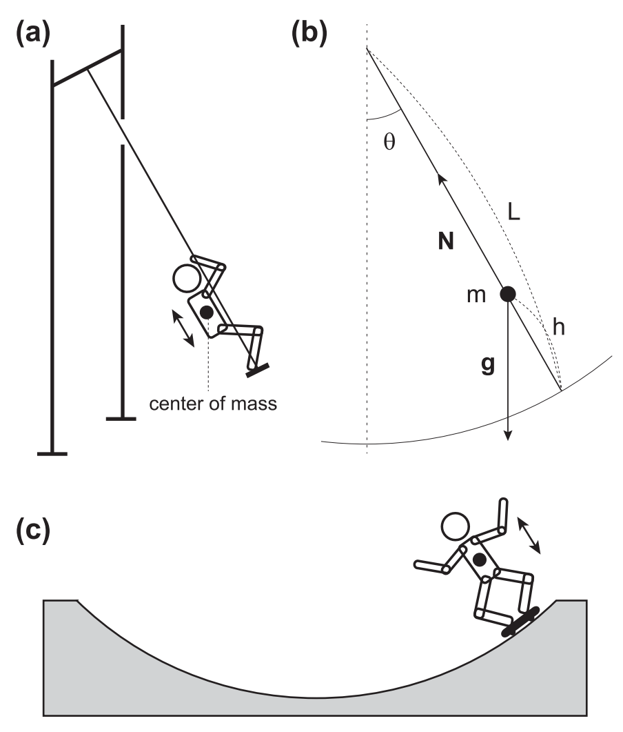   Florian Kogelbauer et al. / Physical Review Research, 2024
