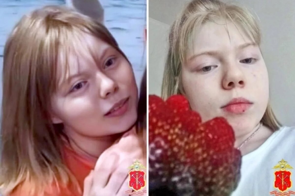    Пропавшую в Ленобласти 12-летнюю девочку со шпицем нашли в Сосново