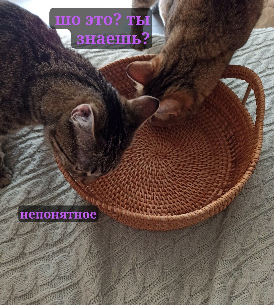 Вообще непонятное