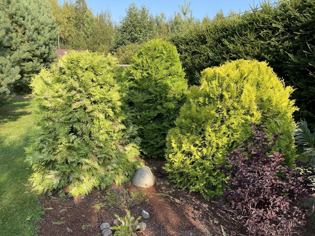 Смешные обезьяны. Котики приколы. Котенка успокаивают. Печалька мужская юмор. Как выглядит вот такой.