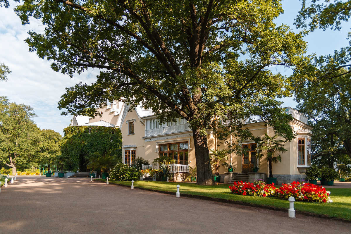 Для этого утреннего фото пришлось прийти пораньше и уговорить пропустить на территорию до открытия