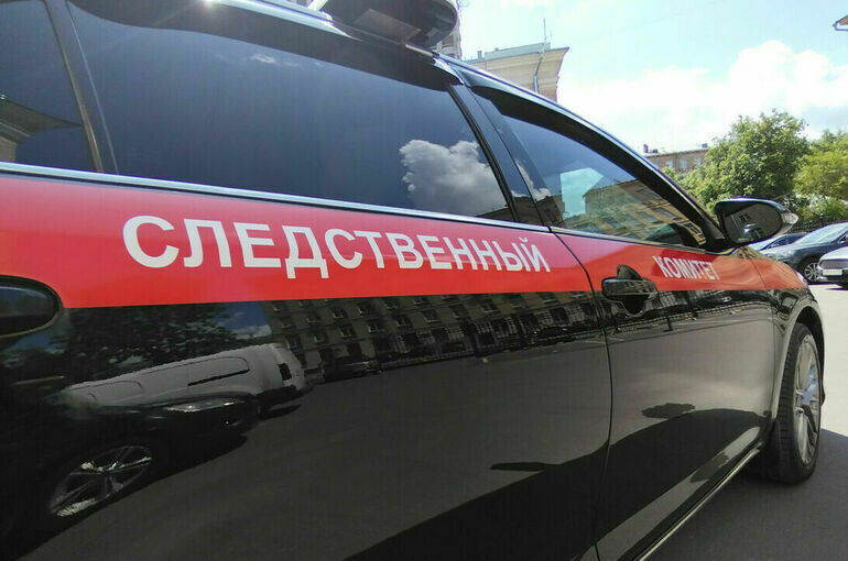   Алина Цыганова/ПГ