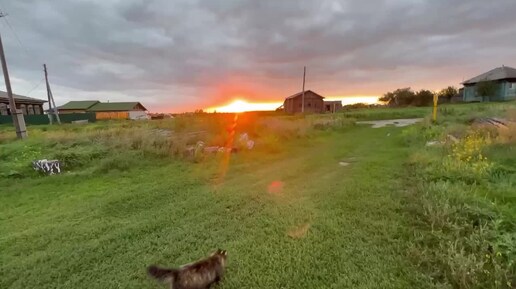 Таня Манул - Жизнь продолжается!!! (2024)❤️🙏😼😻