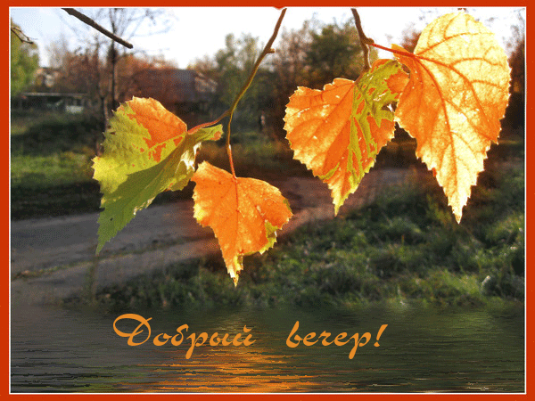 Яндекс картинки