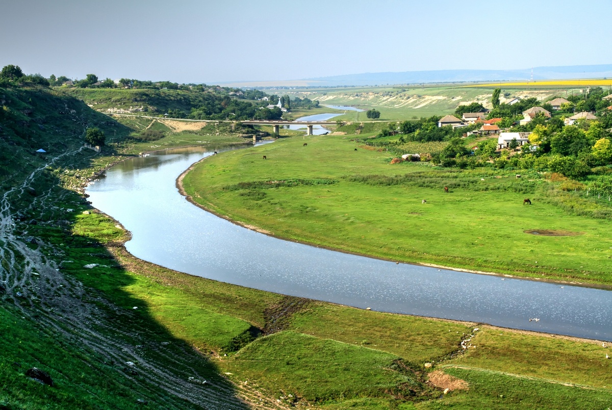 Яндекс картинки, взято отсюда treepics.ru