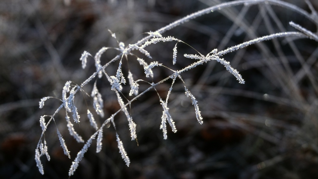    Evgeniy Kanaev/Globallookpress