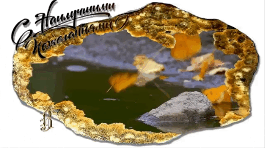 С наилучшими пожеланиями.