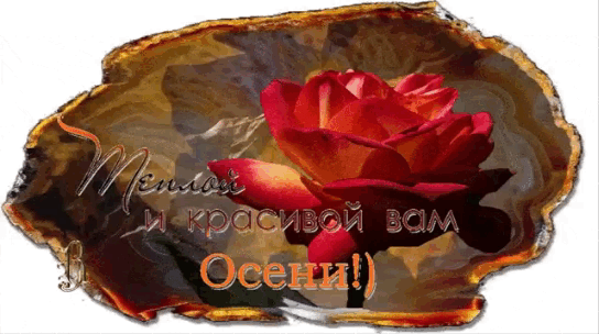 Теплой и красивой Вам осени.