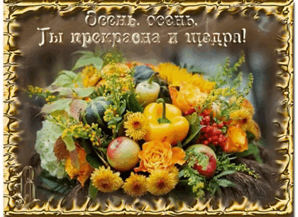 Осень, ты прекрасна и щедра!