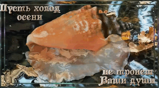 Пусть холод осени не тронет Ваши души.