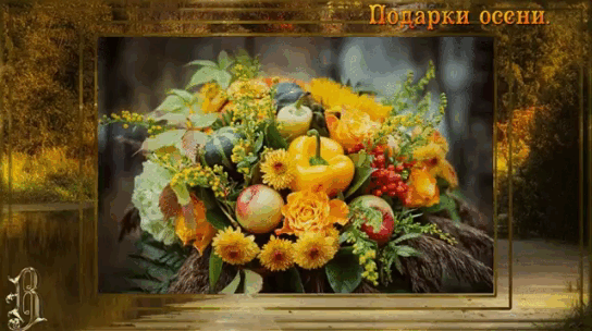 Подарки осени.