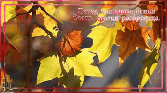 Осень краски разбросала...