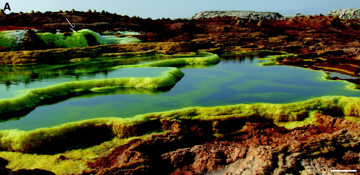 Панорамный вид на террасы активных горячих источников.