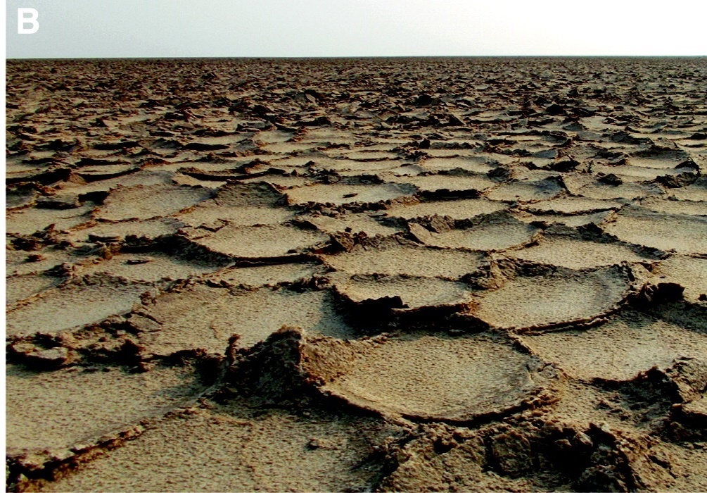 Панорамные виды соляной равнины Ассале в геотермальной зоне Даллолы. Регулярные полигональные узоры и их изломы, образующие вигвамы после высыхания.