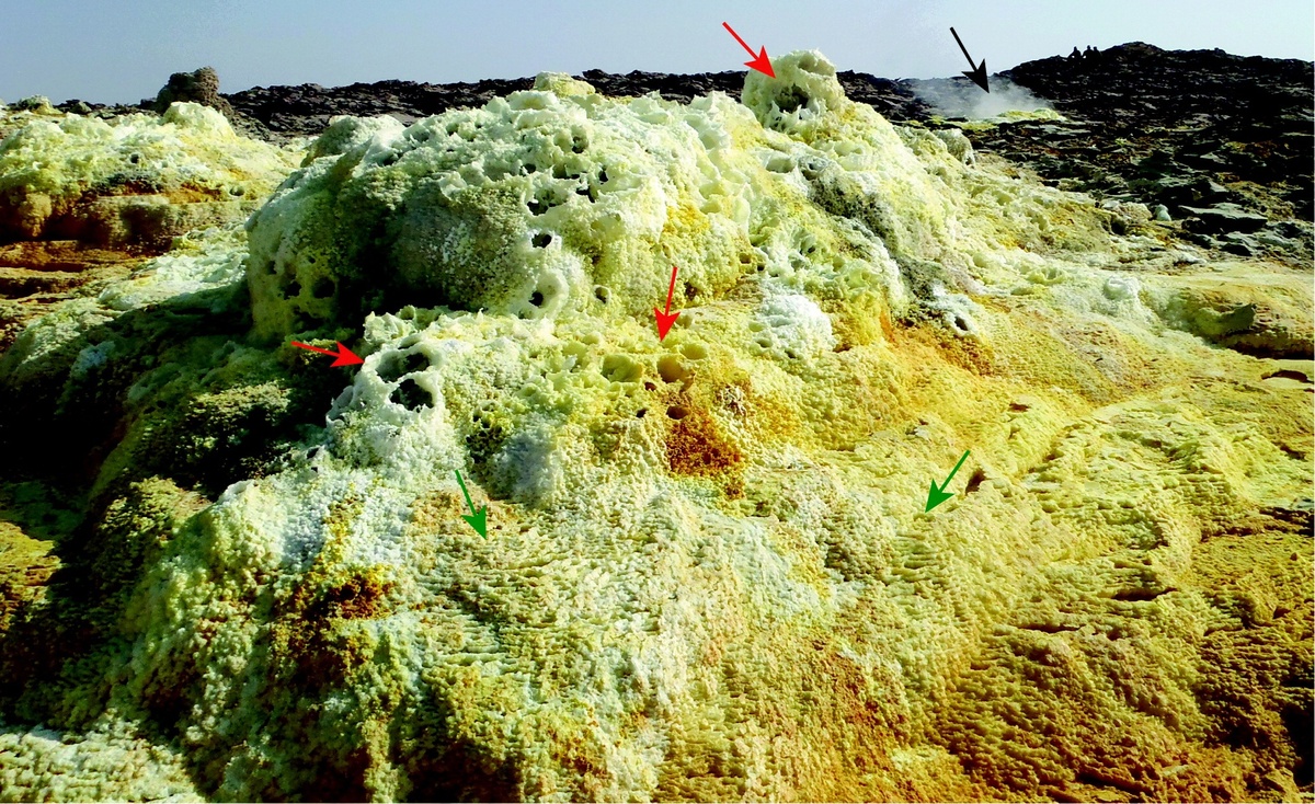 Характерный многоступенчатый курган с несколькими выходами жидкости и газа (красные стрелки) на месте горячих источников Даллол. Обратите внимание на основание большого кургана, в котором преобладают микротеррасы (зеленые стрелки). Газообразный выброс с преобладанием сульфида водорода (черная стрелка).