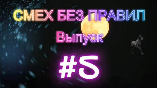 СМЕХ БЕЗ ПРАВИЛ. Выпуск #5. Анекдоты. Шутки. Юмор