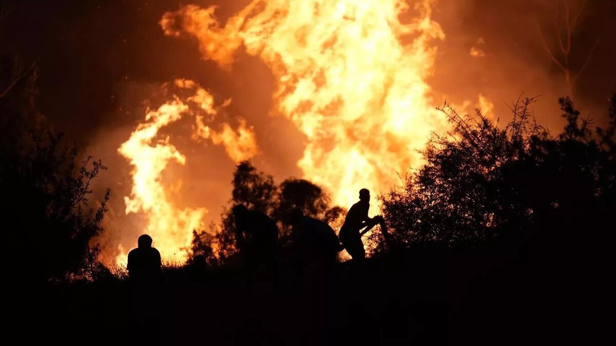 © © AA / Berkan Çetin