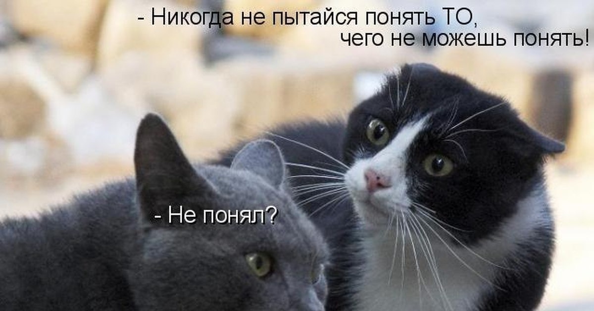 всем всё понятно? источник Яндекс-картинки