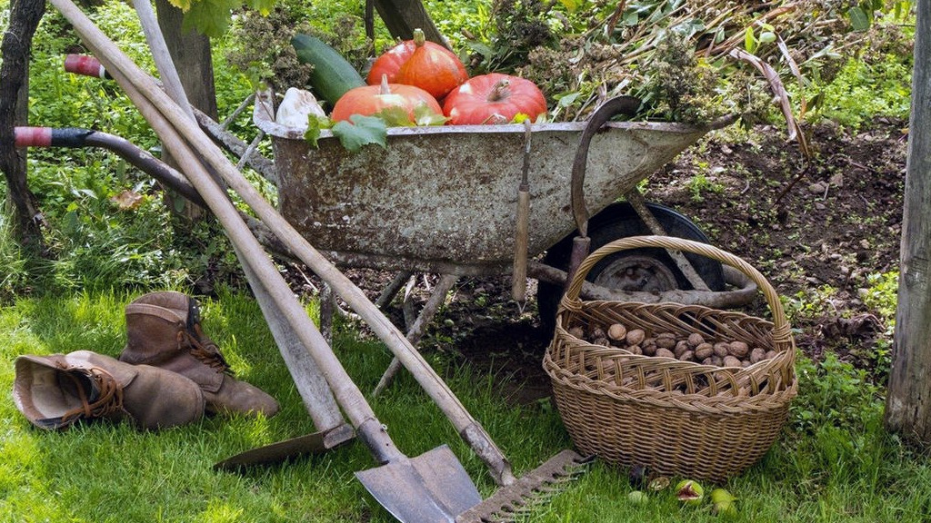 Осенние хлопоты в самом разгаре - готовим сад к будущему сезону