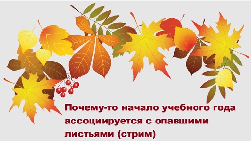 Почему-то начало учебного года ассоциируется с опавшими листьями (стрим)