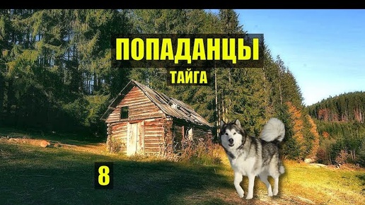 ПРИБИЛАСЬ СОБАКА ОХОТА С ЛАЙКАМИ ПОПАДАНЦЫ ФАНТАСТИКА СУДЬБА в ЛЕСУ ИСТОРИИ из ЖИЗНИ СЕРИАЛ 8