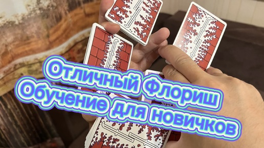 Очень красивый дисплей с колодой карт для начинающих (cardistry tutorial )