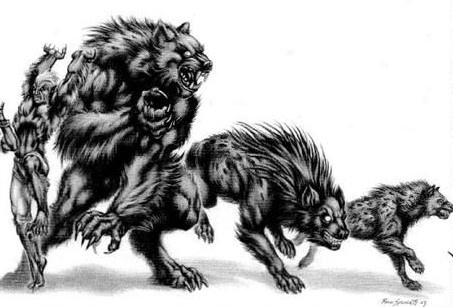 Автор неизвестен. Изображение из открытых источников.