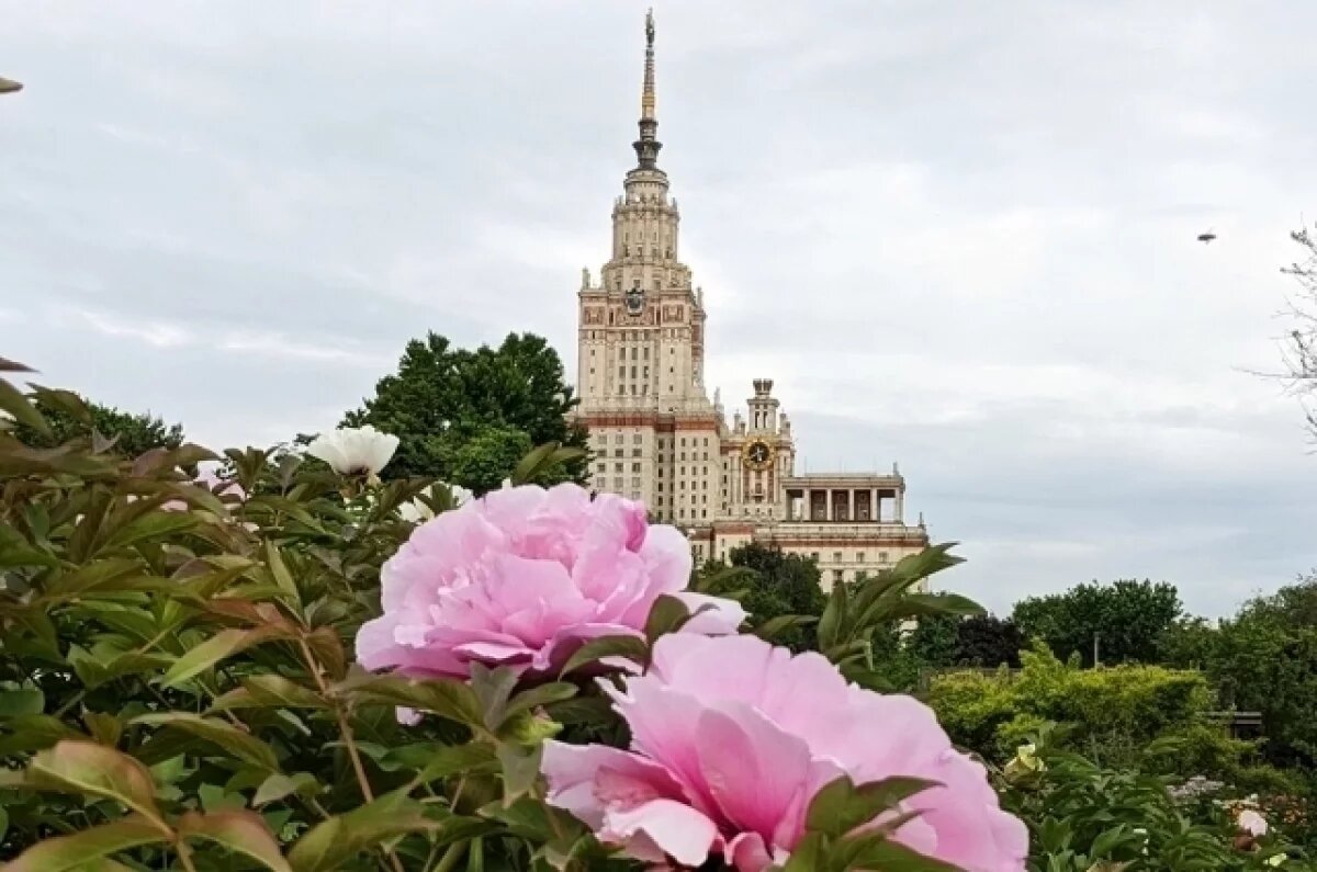    Улыбнитесь, вас снимают.