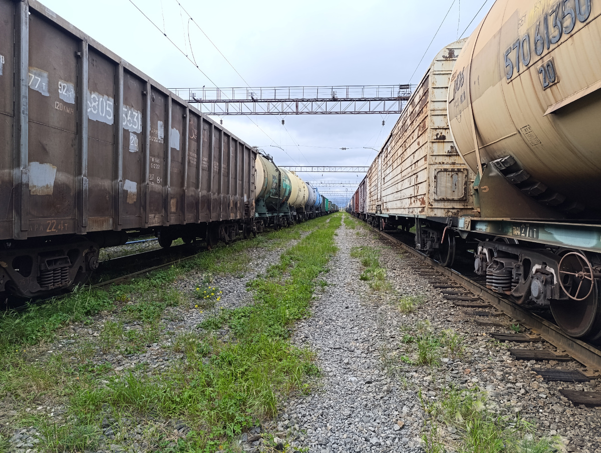 В местном парке