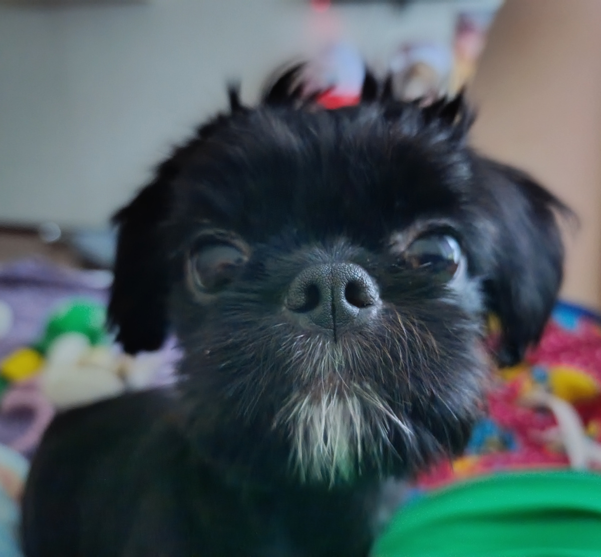 Это наша Луна🥰🤗❤️