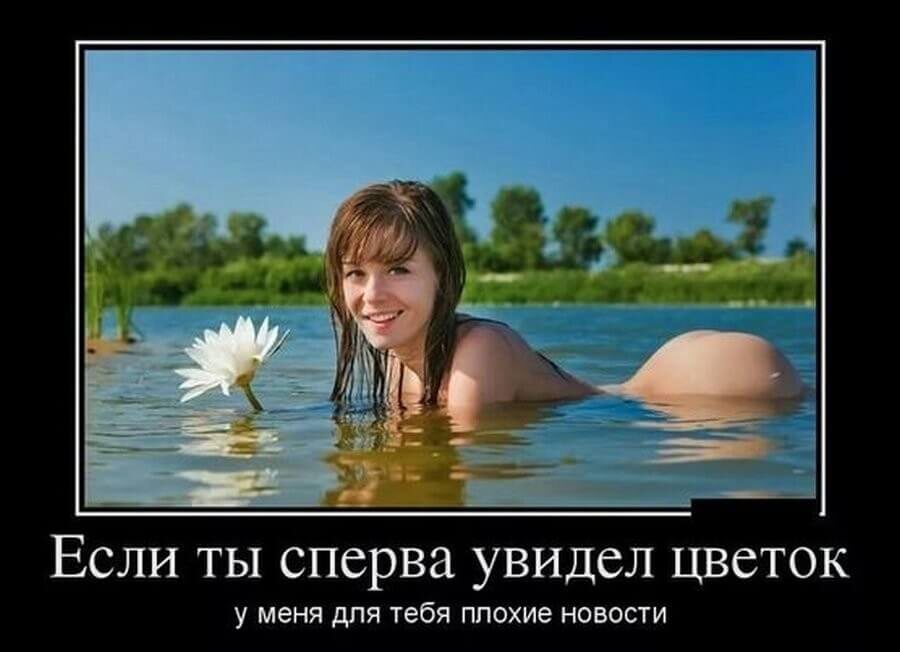 Яндекс Открытый источник 