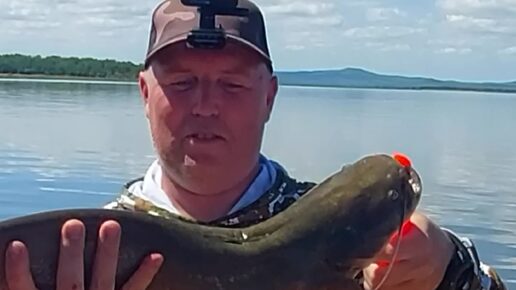 Fish. Крупная рыба. Морская рыбалка. Big fish логотип. Мальки марлина.