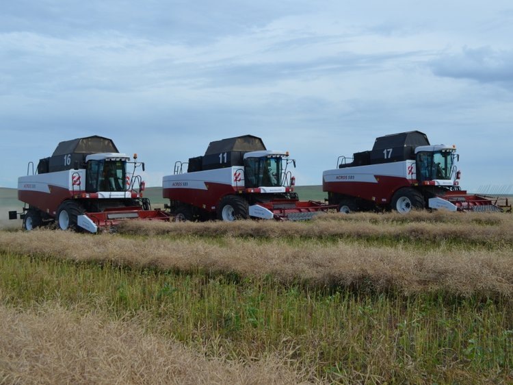    ​К уборке рапса нового урожая 2024 приступили в Забайкалье