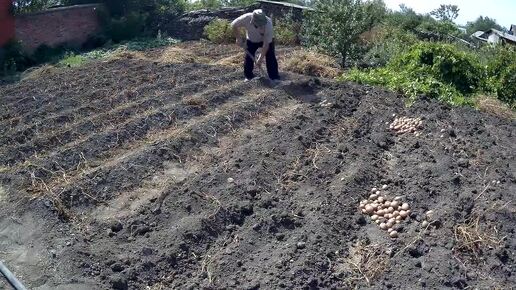 Скачать видео: ЖИВЕМ В ДЕРЕВНЕ!!ГОСТИ УЕХАЛИ!СДАЛ ЦВЕТНОЙ МЕТАЛЛ!!ПРОДОЛЖАЮ КОПАТЬ КАРТОШКУ!!А ЕЩЕ РАБОТАТЬ В НОЧЬ!